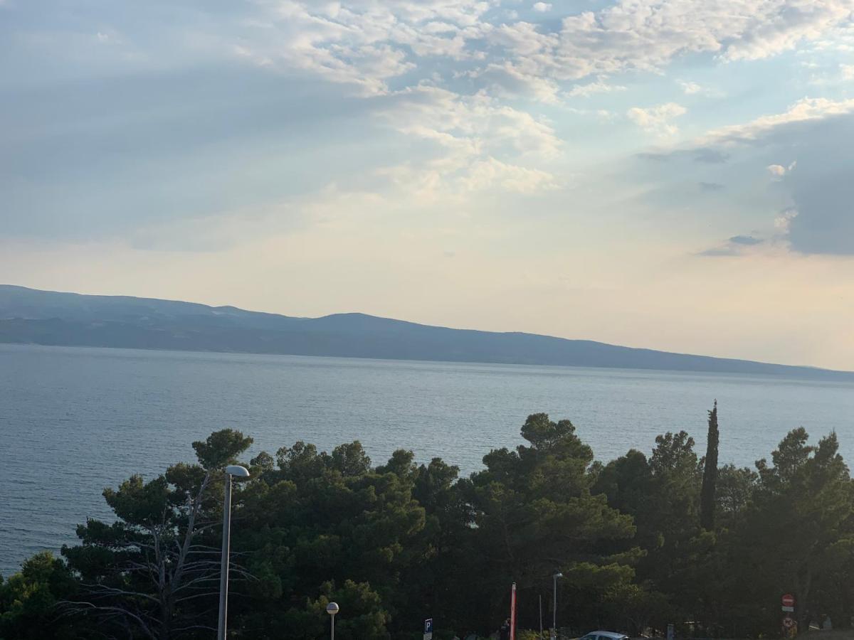 Villa Barbara ロクヴァ・ロゴズニツァ エクステリア 写真